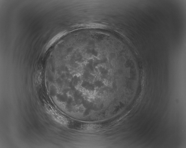 X0000085251163200703161244