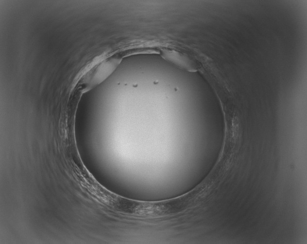 X0000085251165200703161244