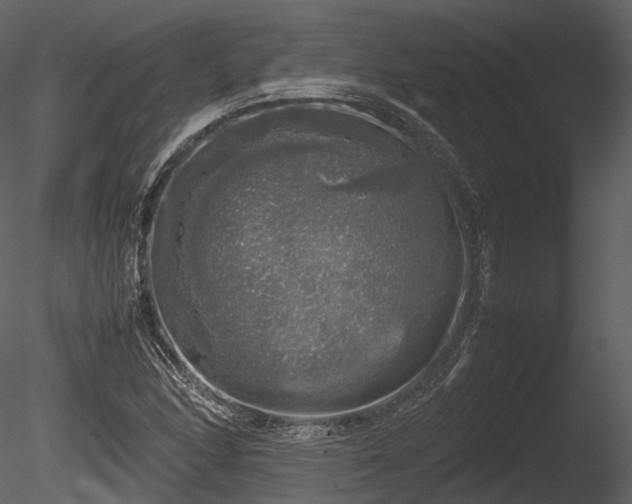 X0000085251166200703161244