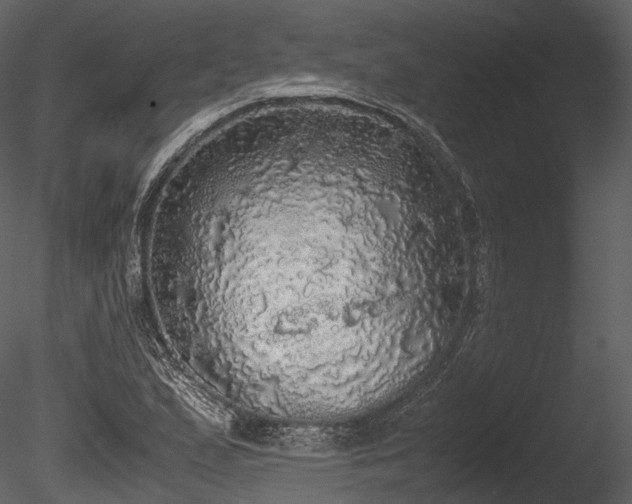 X0000085251167200703161244