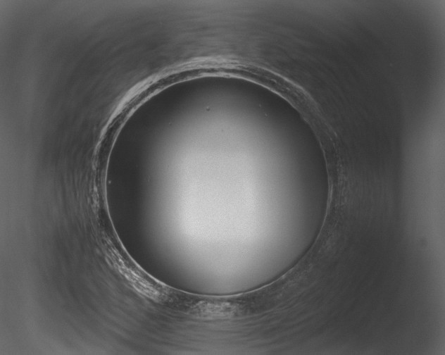 X0000085251168200703161244