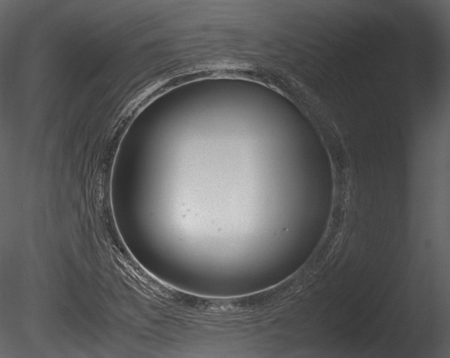 X0000085251169200703161244