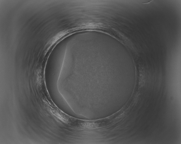 X0000085251170200703161244