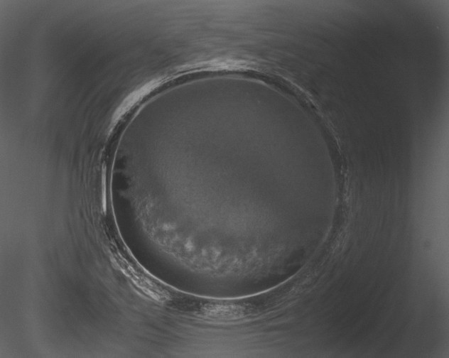 X0000085251171200703161244