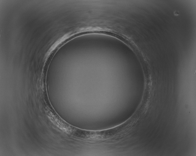 X0000085251173200703161244