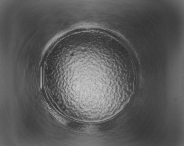 X0000085251175200703161244