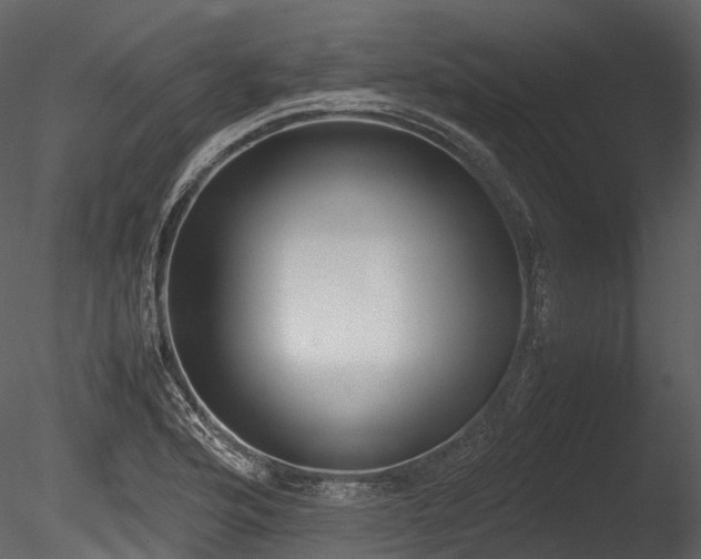 X0000085251176200703161244