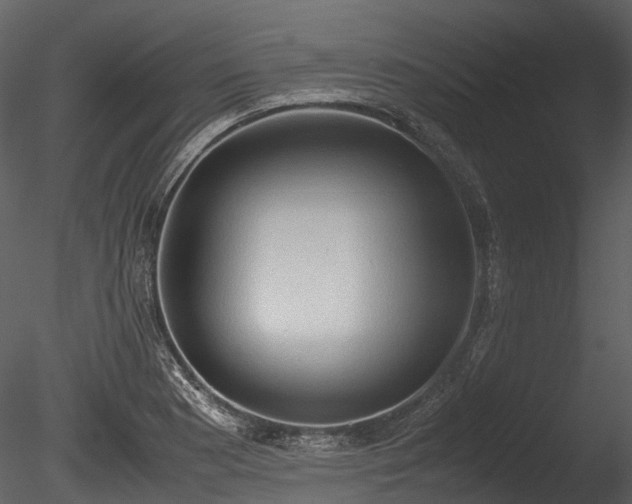 X0000085251177200703161244