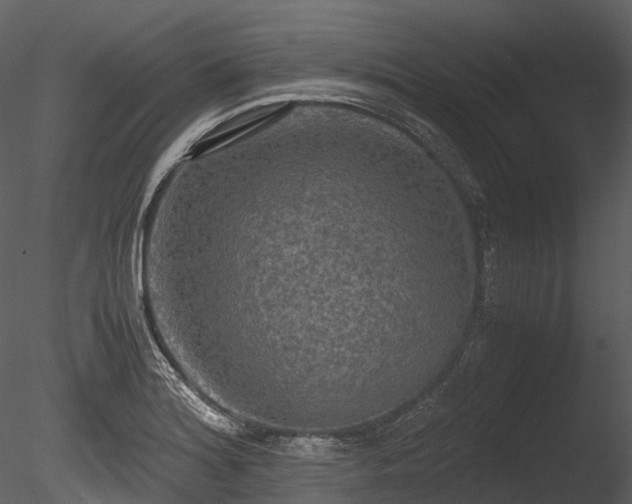 X0000085251180200703161244