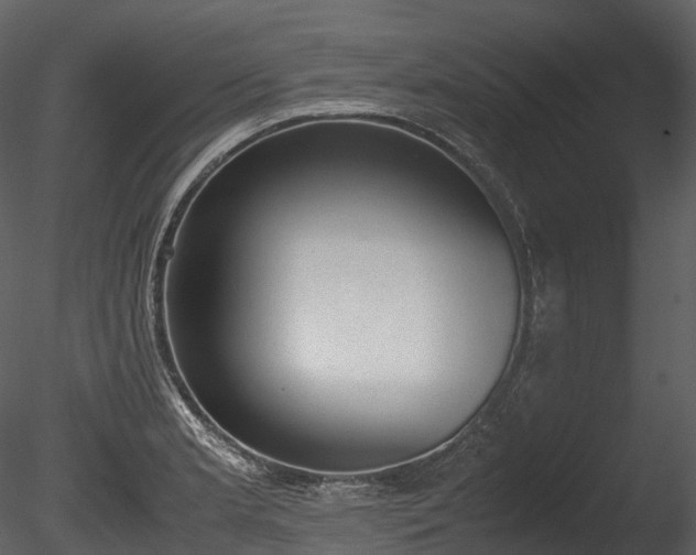 X0000085251181200703161244