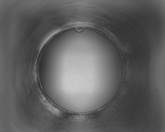 X0000085251182200703161244