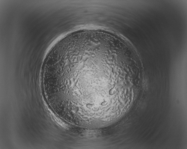 X0000085251183200703161244