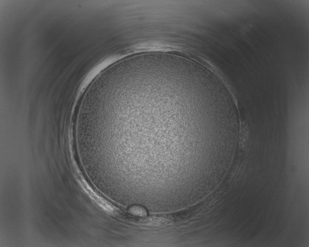 X0000085251187200703161244