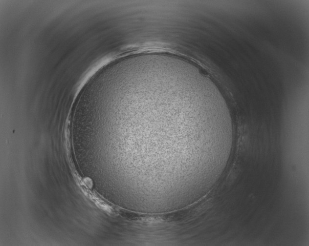 X0000085251190200703161244