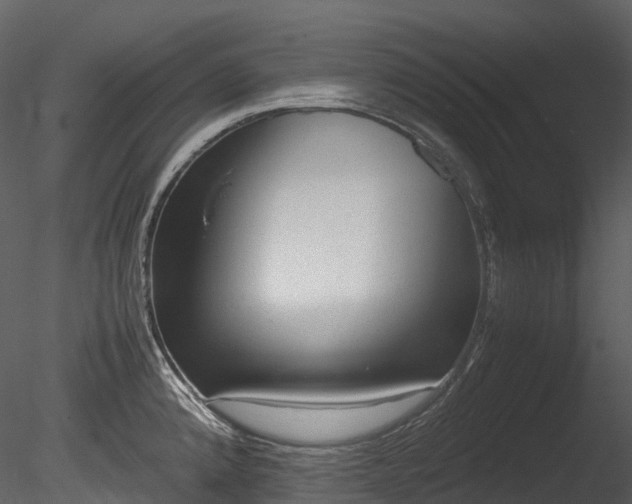 X0000085251192200703161244