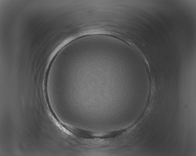 X0000085251197200703161244