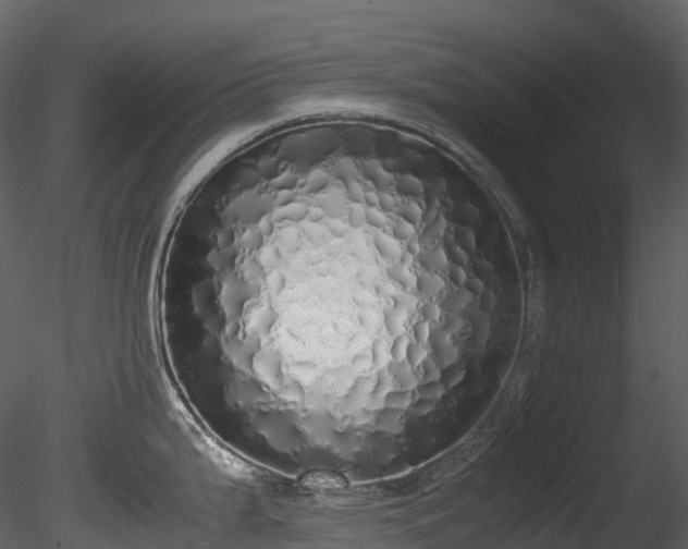 X0000085251199200703161244