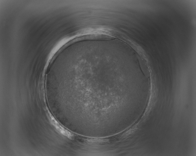 X0000085251200200703161244