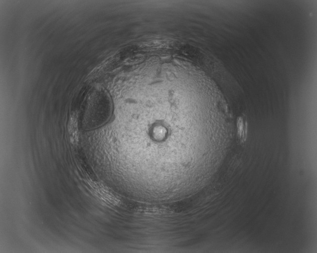 X0000085251203200703161243