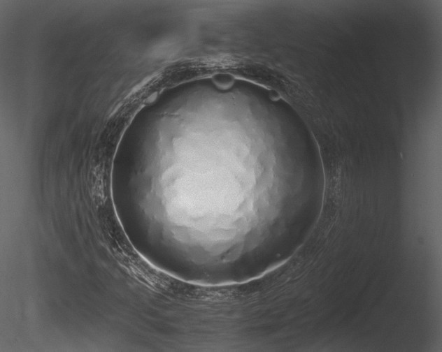 X0000085251205200703161243