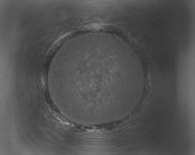 X0000085251206200703161243