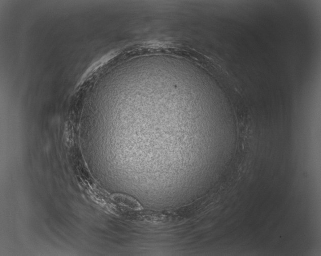 X0000085251207200703161243