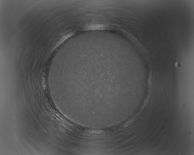 X0000085251209200703161243