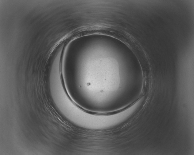 X0000085251210200703161243