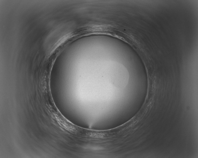 X0000085251211200703161243