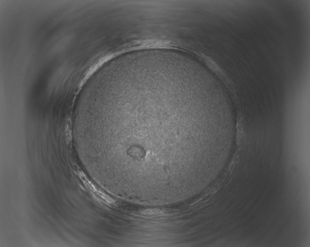 X0000085251212200703161243