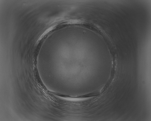 X0000085251213200703161243