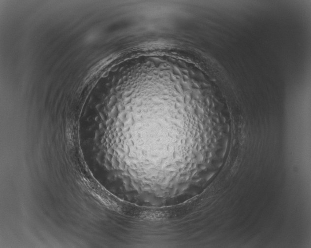 X0000085251217200703161243