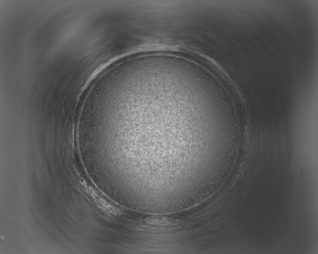 X0000085251220200703161243