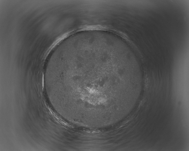 X0000085251221200703161243