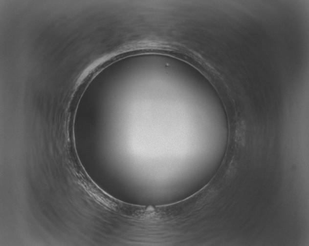 X0000085251222200703161243