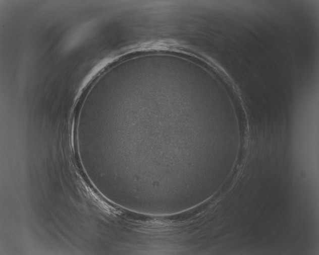 X0000085251224200703161243