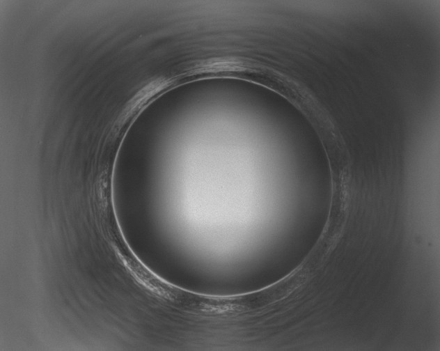 X0000085251225200703161243