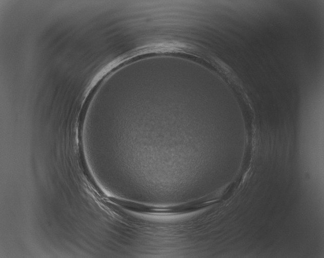 X0000085251226200703161243