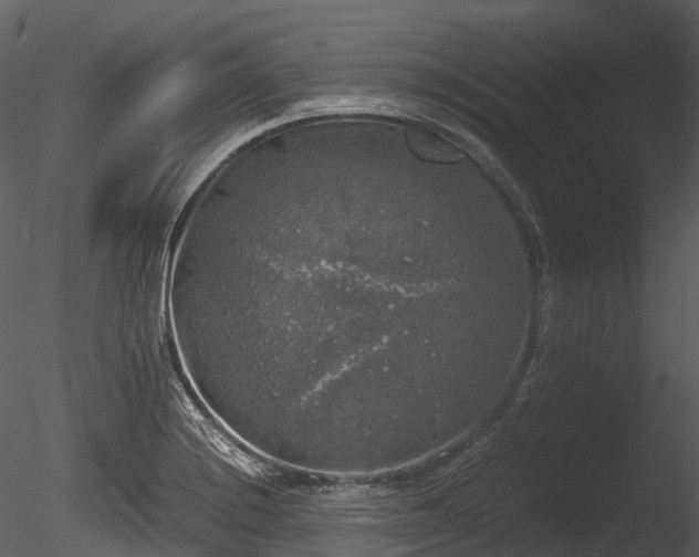 X0000085251228200703161243