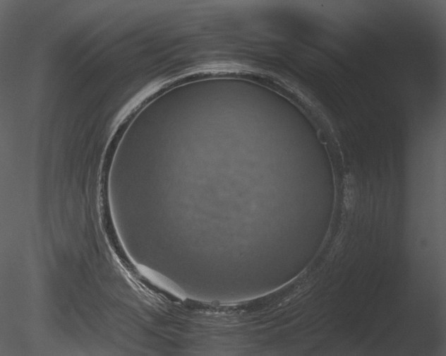 X0000085251229200703161243