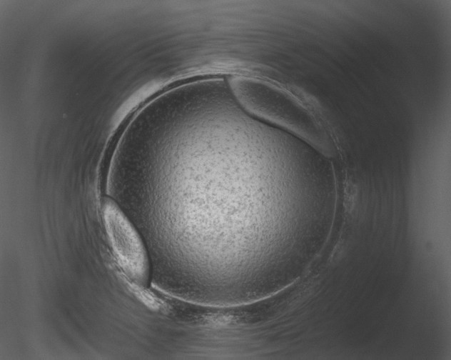 X0000085251230200703161243