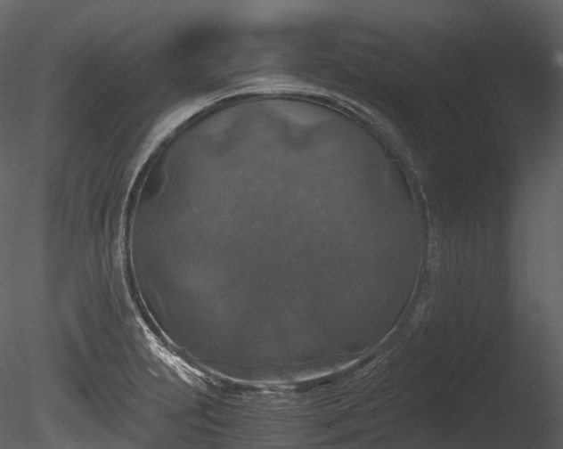 X0000085251231200703161243