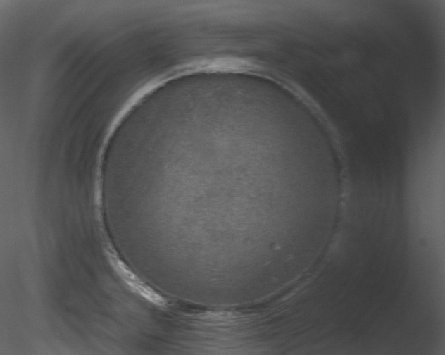 X0000085251232200703161243