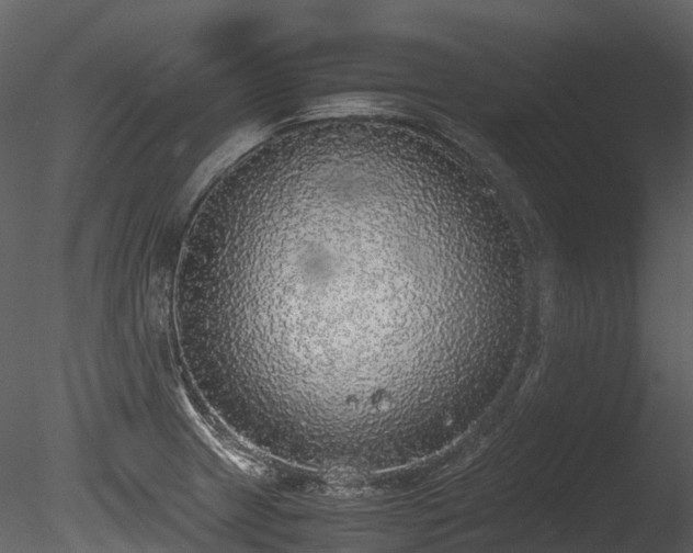 X0000085251233200703161243