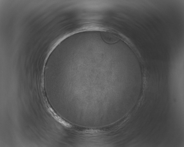 X0000085251236200703161244