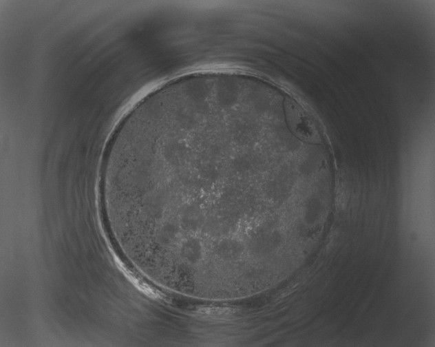 X0000085251237200703161244