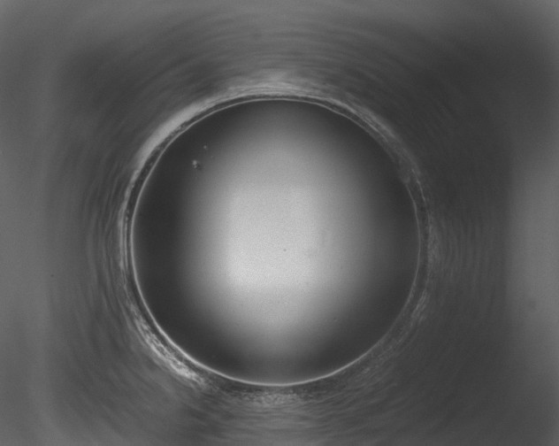 X0000085251238200703161244