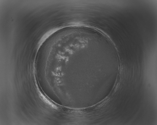 X0000085251239200703161244