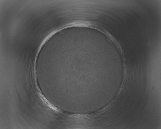 X0000085251240200703161244