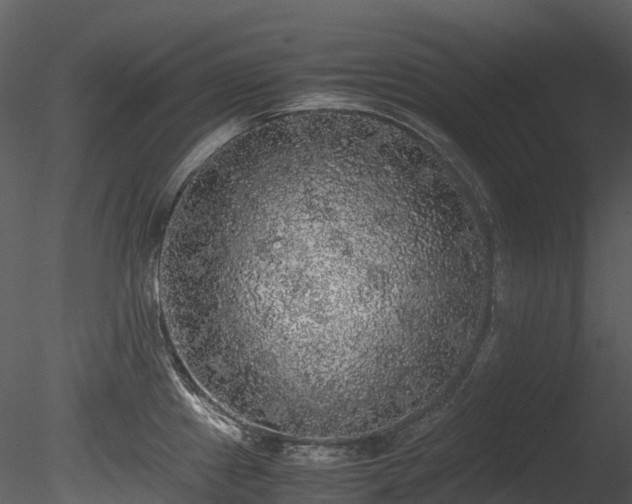 X0000085251241200703161244